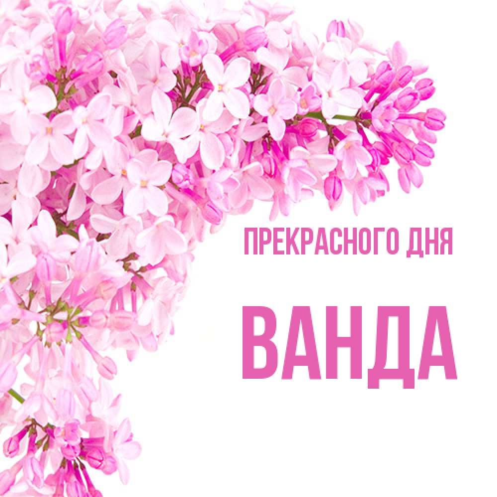 Открытка  с именем. Ванда, Прекрасного дня  