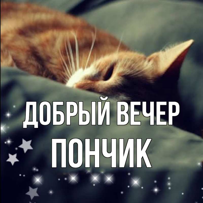 Картинка Добрый вечер, Пончик