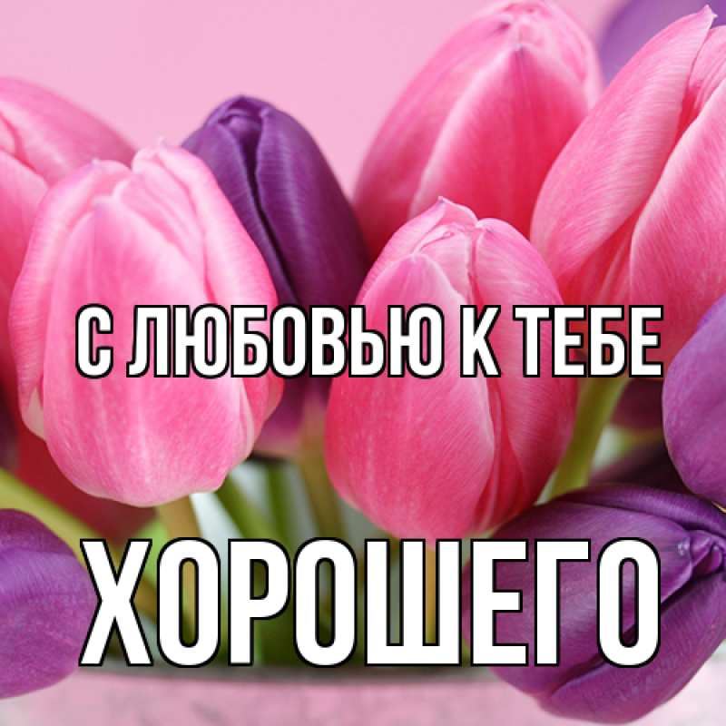 Картинка С любовью к тебе, Хорошего