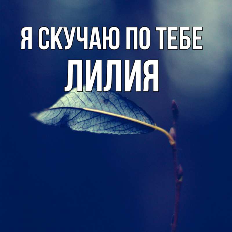 Картинка Я скучаю по тебе, Лилия