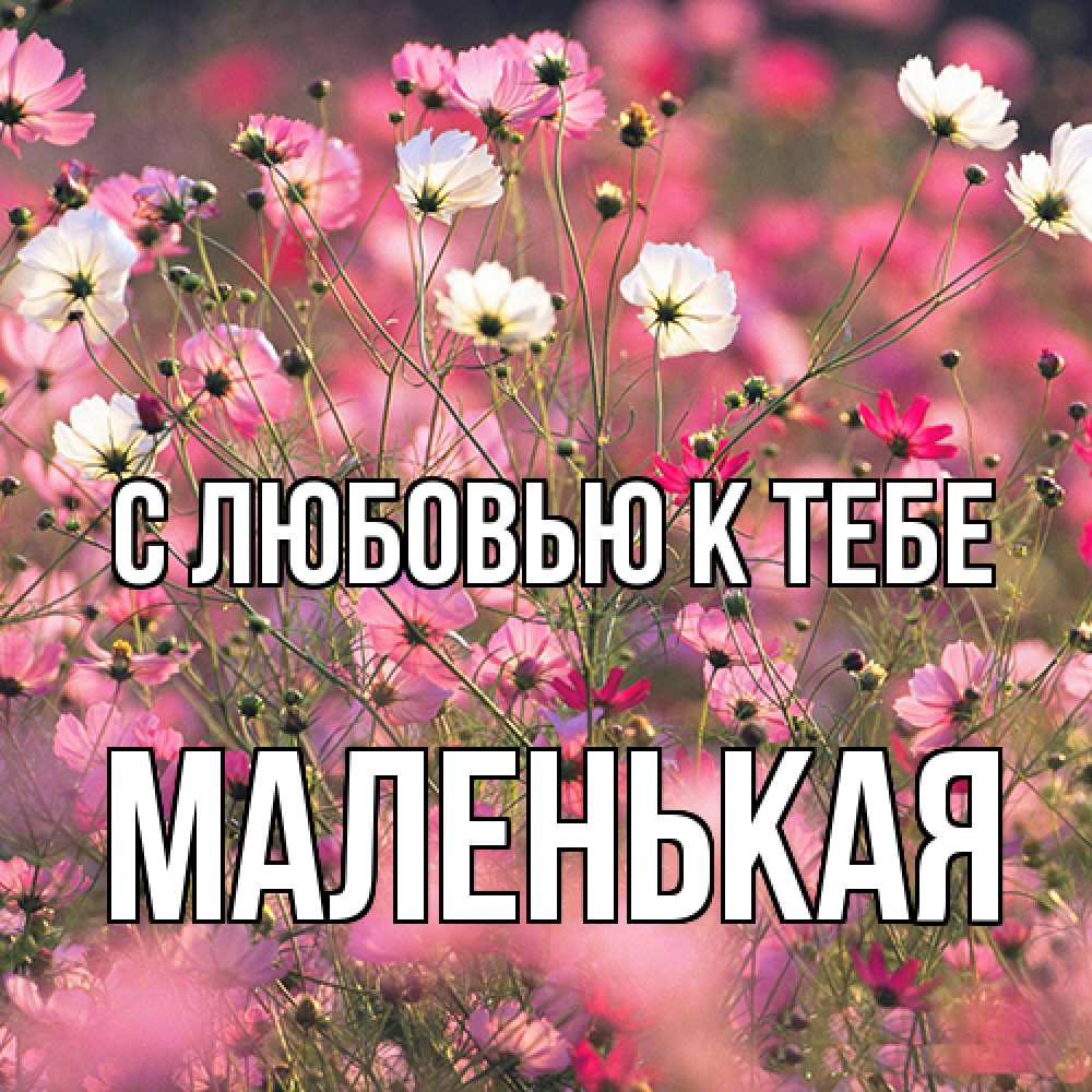 Открытка  с именем. Маленькая, С любовью к тебе  