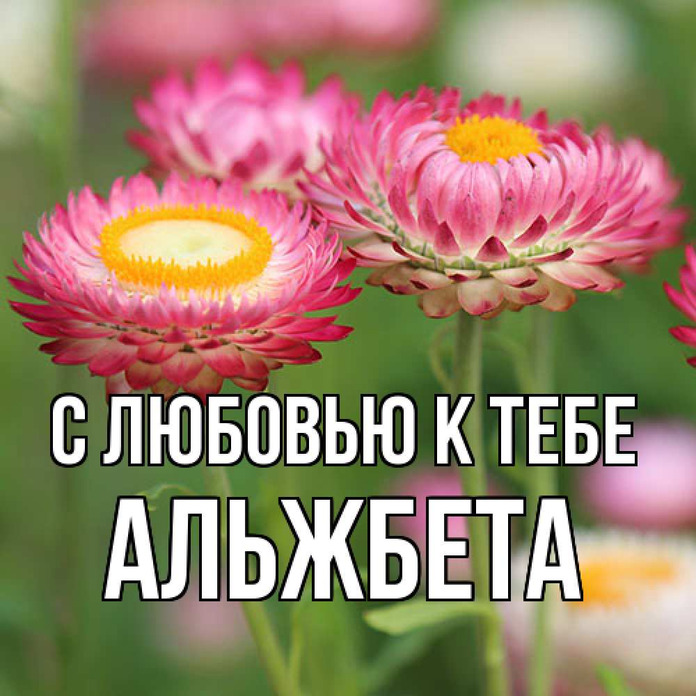 Открытка  с именем. Альжбета, С любовью к тебе  