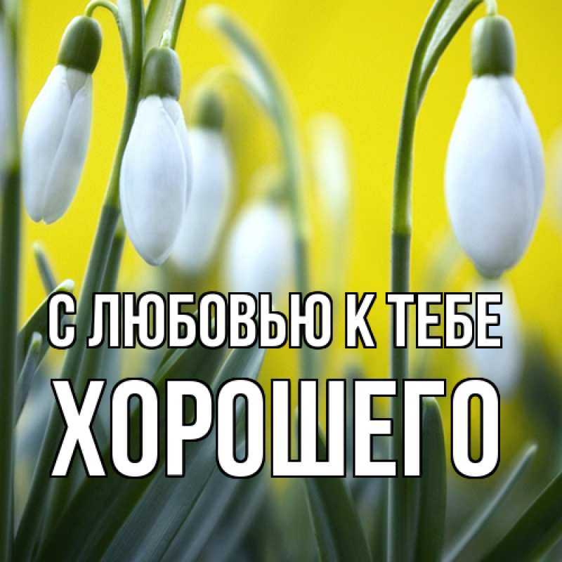 Картинка С любовью к тебе, Хорошего