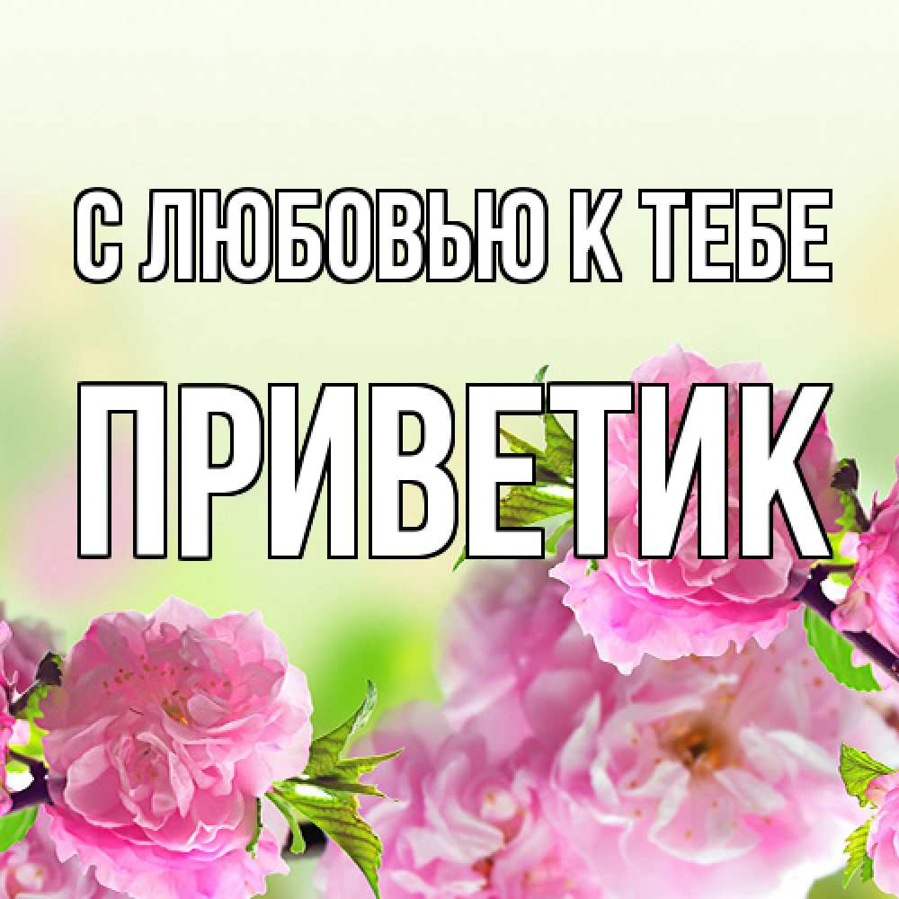 Открытка  с именем. приветик, С любовью к тебе  