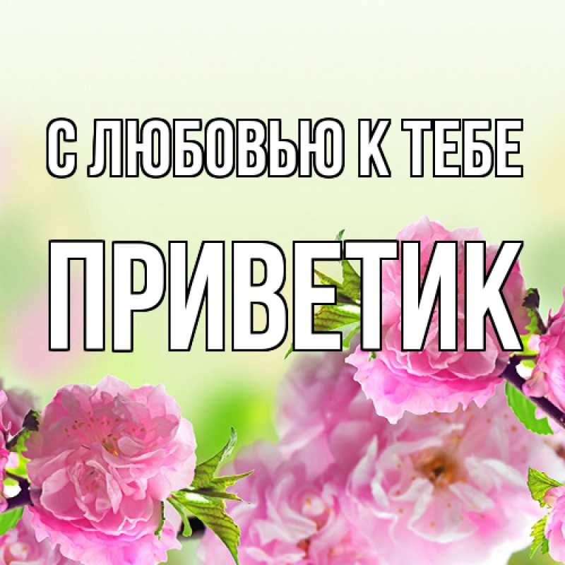 Картинка С любовью к тебе, приветик