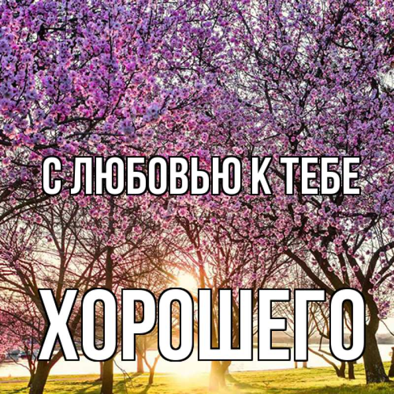 Картинка С любовью к тебе, Хорошего