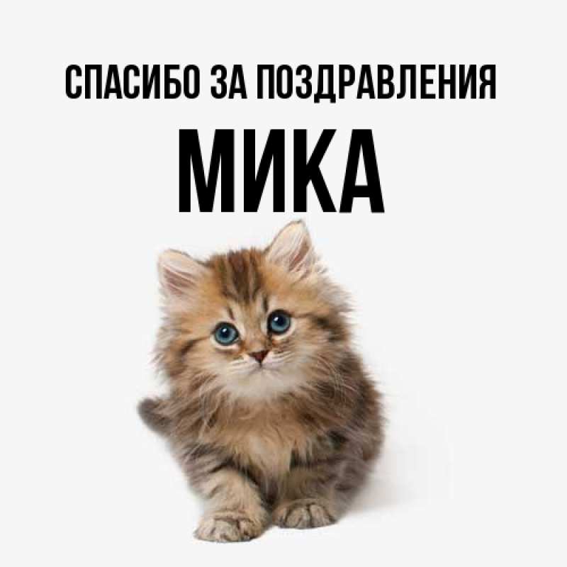 Картинка Спасибо за поздравления, мика