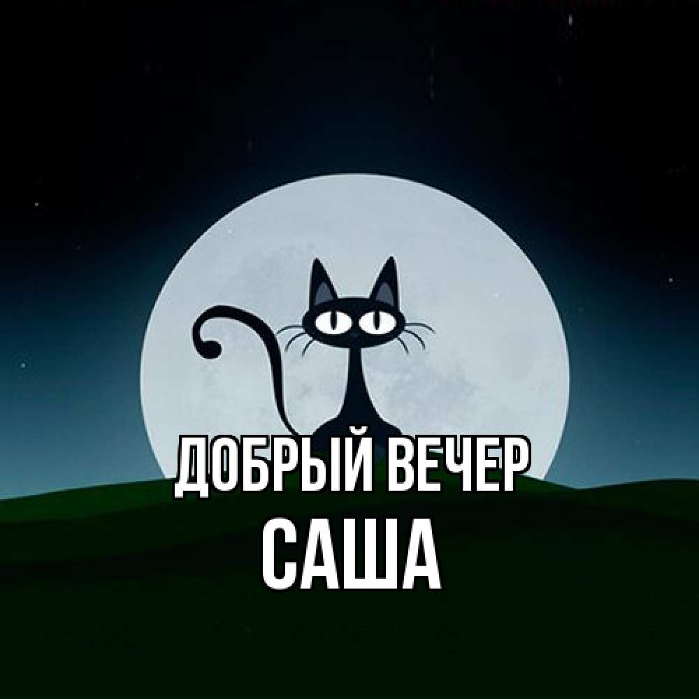Открытка  с именем. Саша, Добрый вечер  