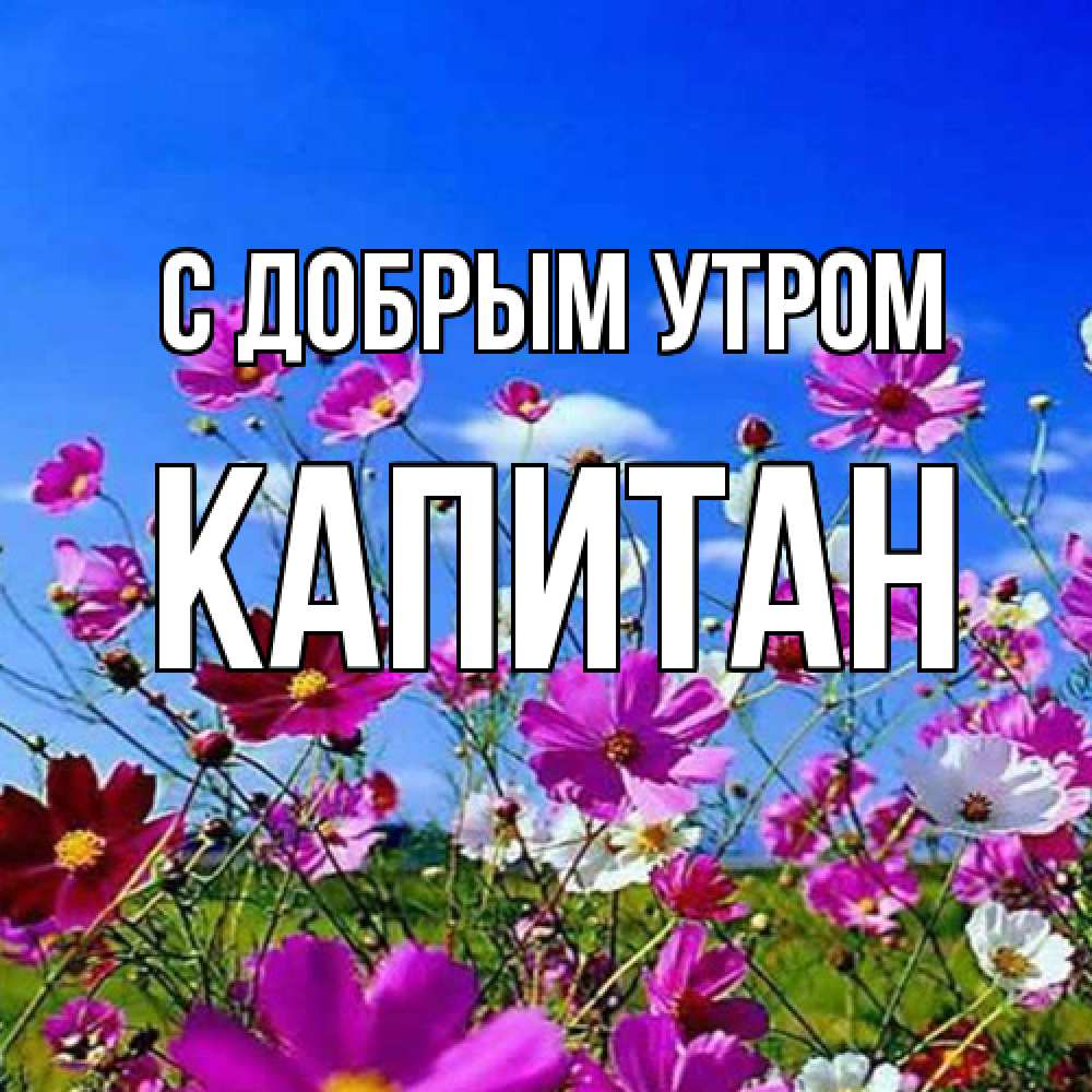 Открытка  с именем. Капитан, С добрым утром  