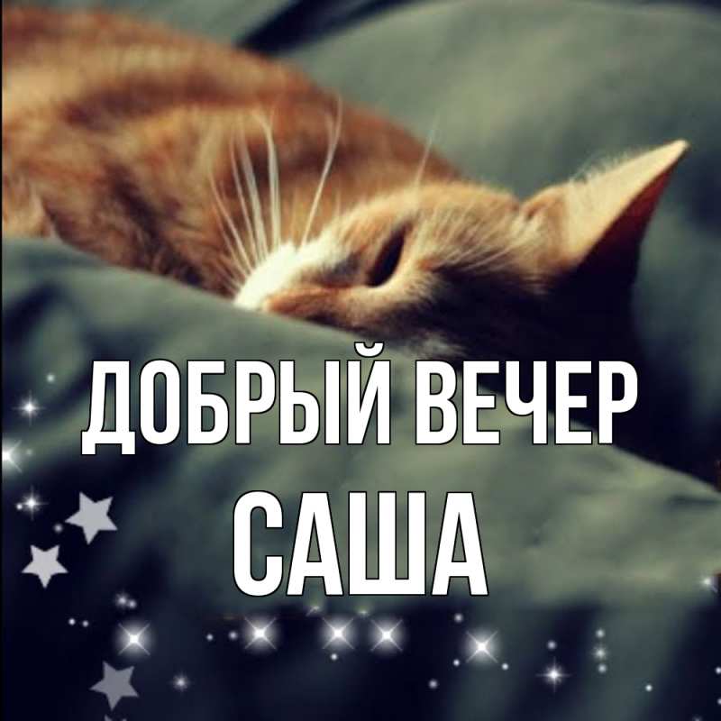 Картинка Добрый вечер, Саша