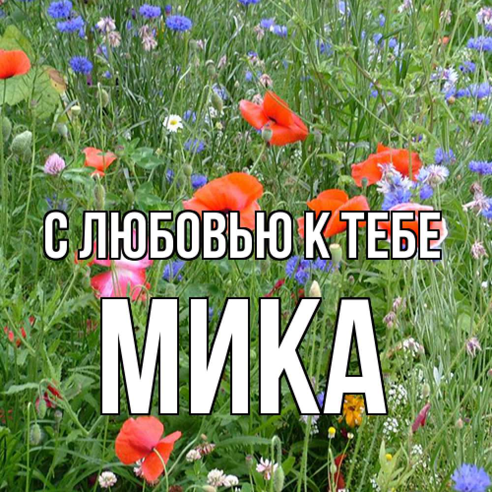 Открытка  с именем. мика, С любовью к тебе  