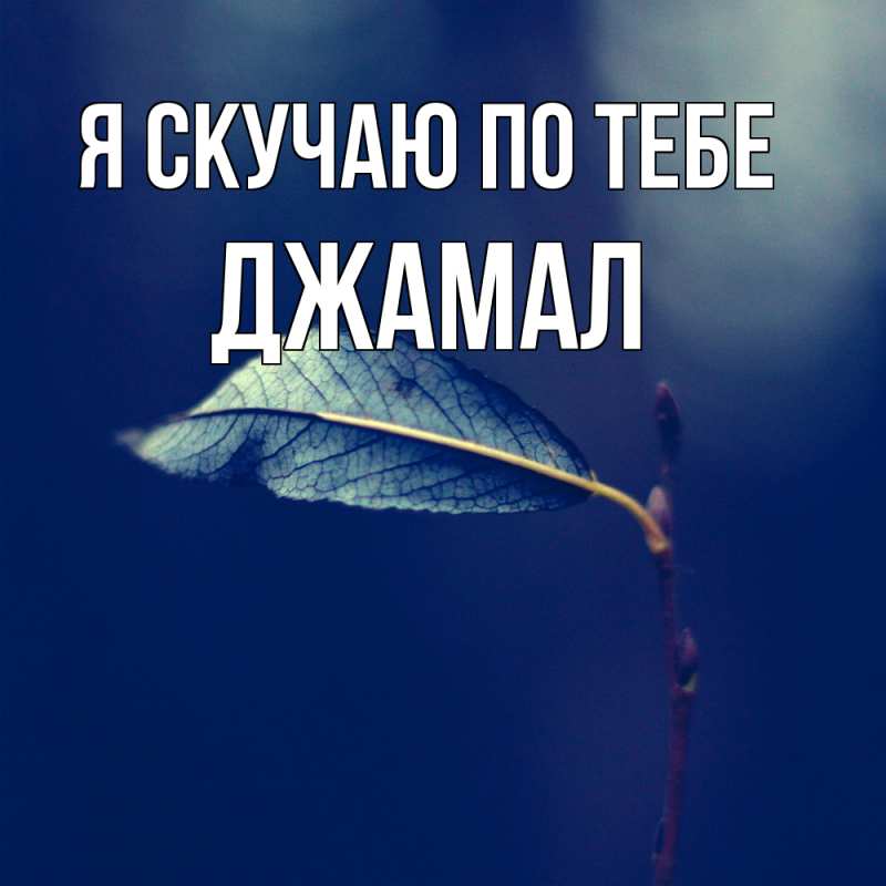 Картинка Я скучаю по тебе, Джамал