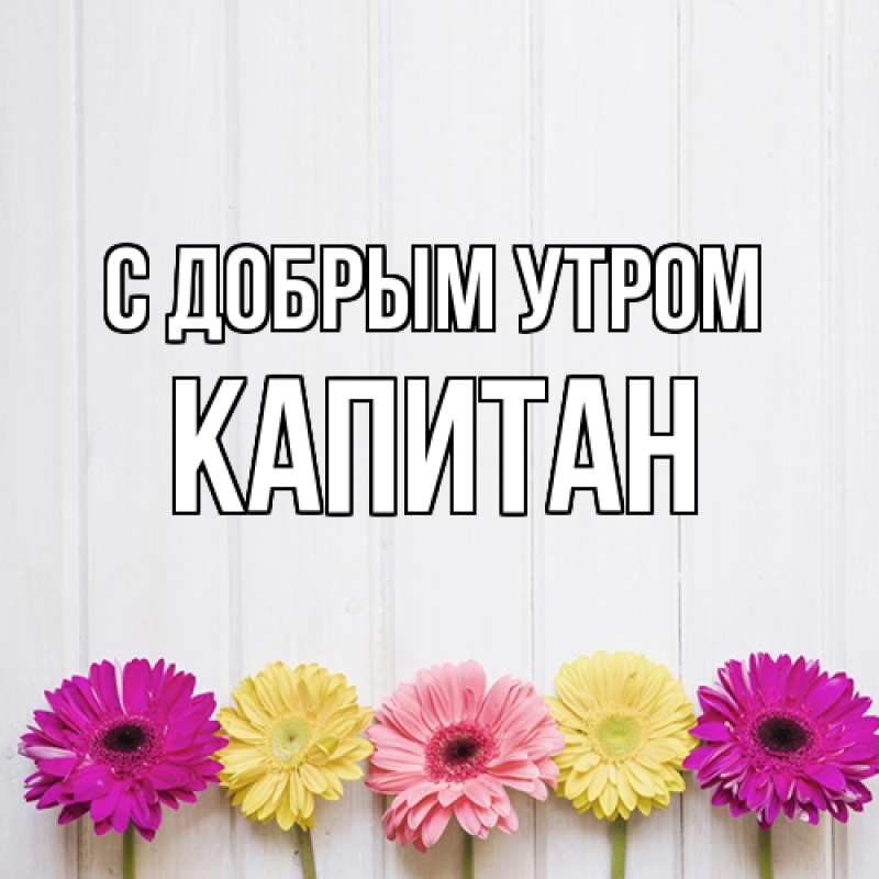 Картинка С добрым утром, Капитан