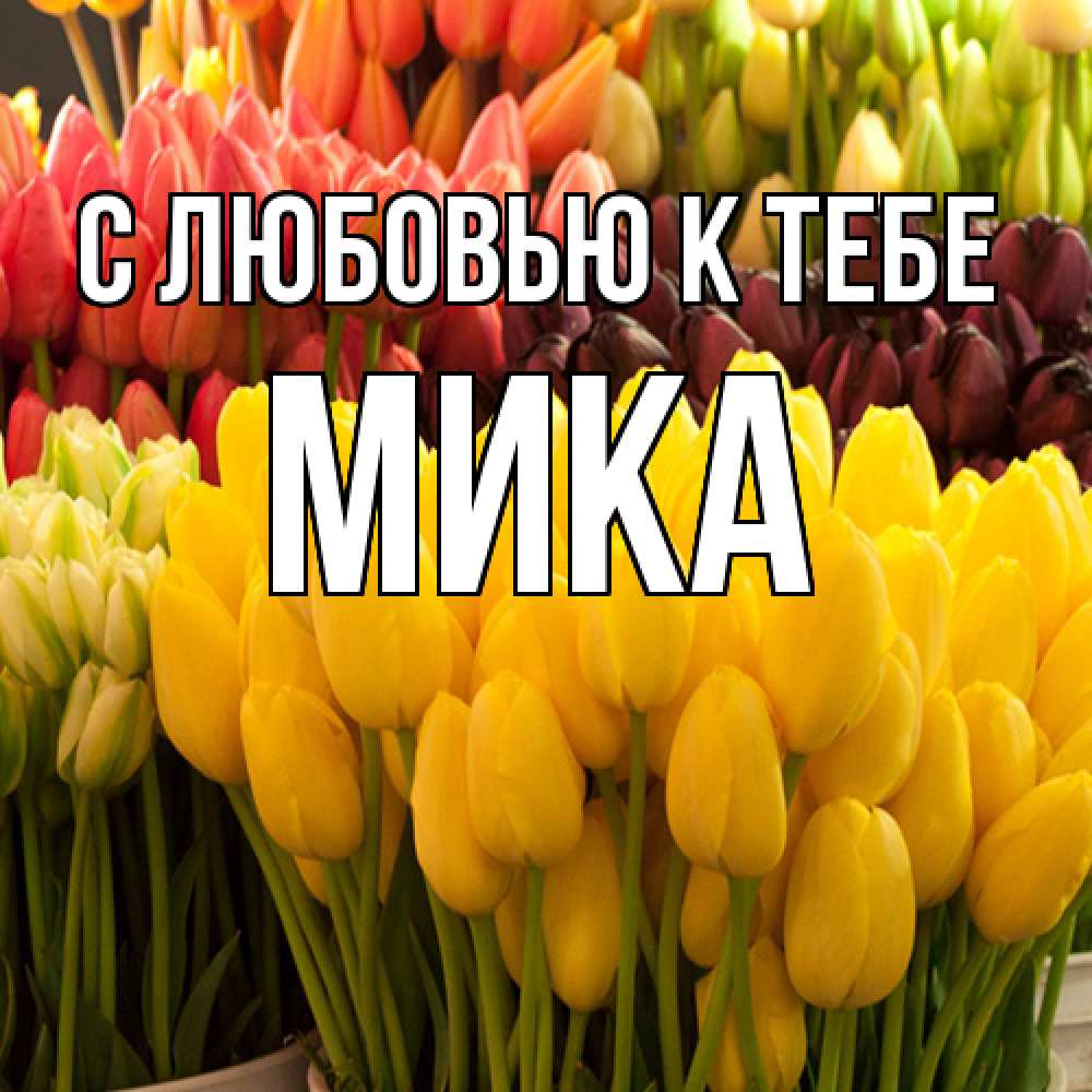 Открытка  с именем. мика, С любовью к тебе  