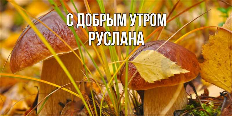 Картинка С добрым утром, Руслана
