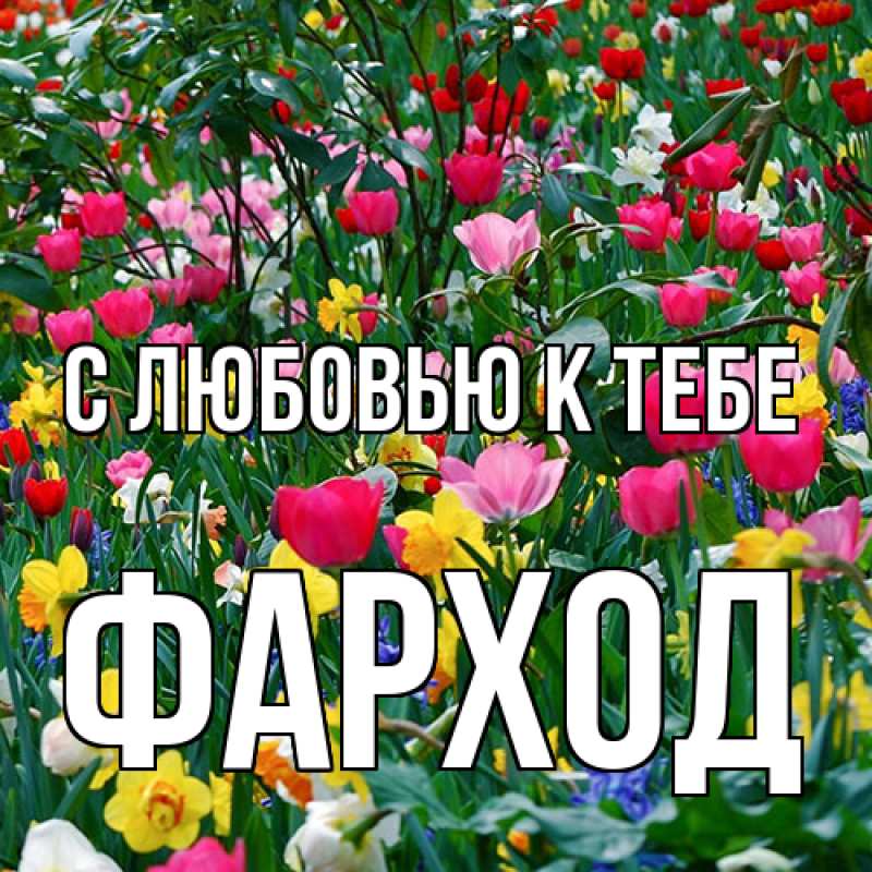 Картинка С любовью к тебе, Фарход