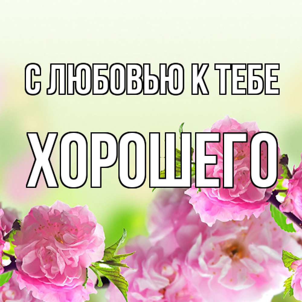 Открытка  с именем. Хорошего, С любовью к тебе  