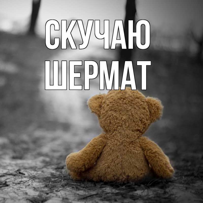 Картинка Скучаю, Шермат