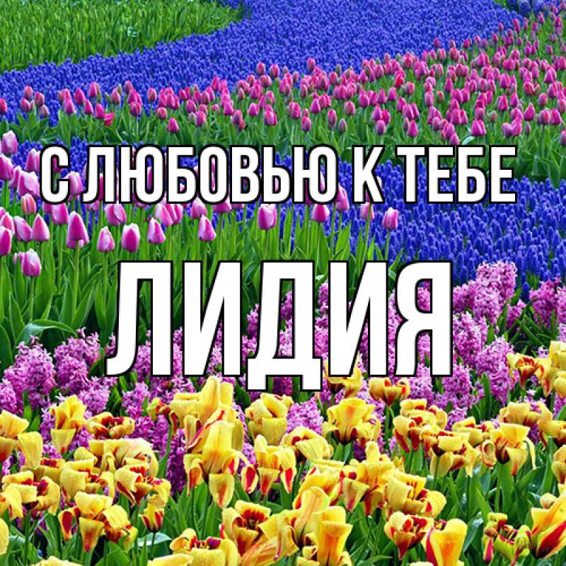 Картинка С любовью к тебе, лидия