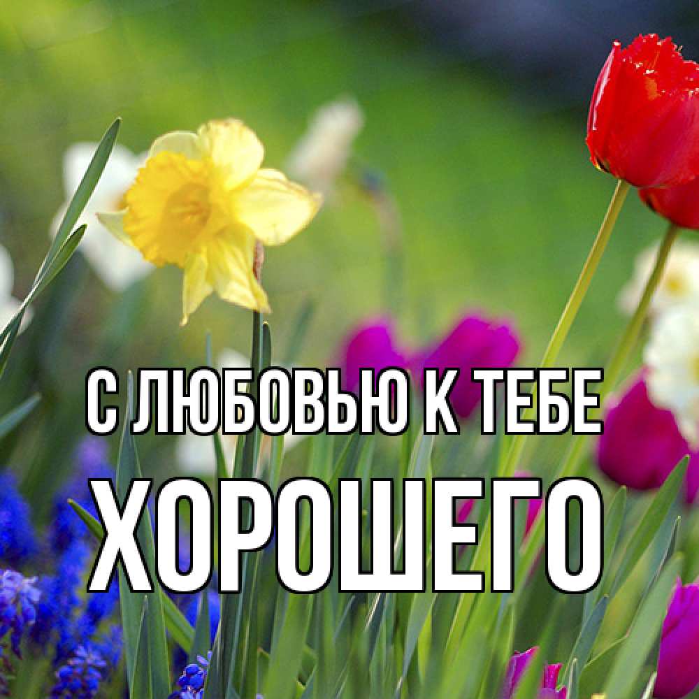 Открытка  с именем. Хорошего, С любовью к тебе  