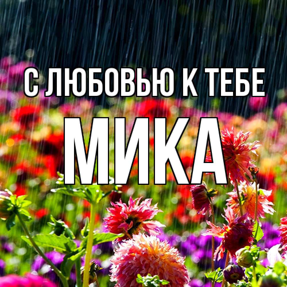 Открытка  с именем. мика, С любовью к тебе  