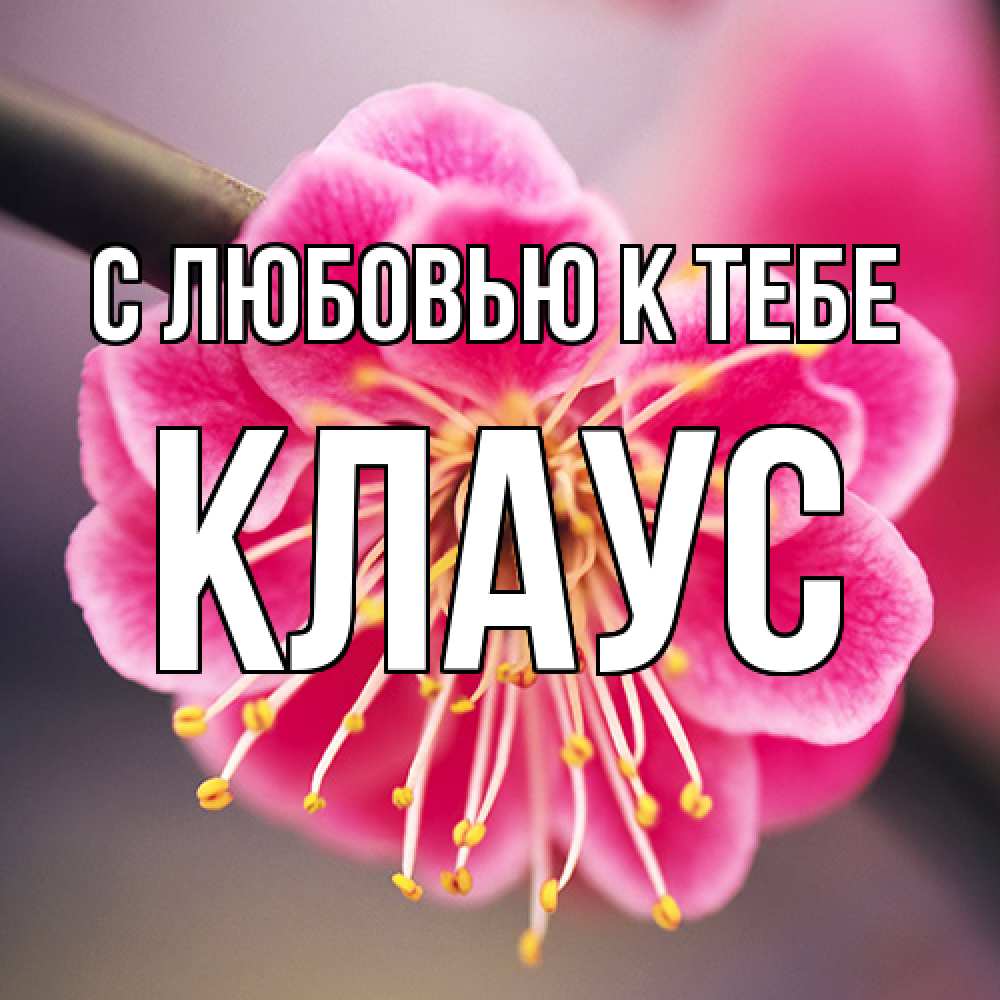 Открытка  с именем. Клаус, С любовью к тебе  