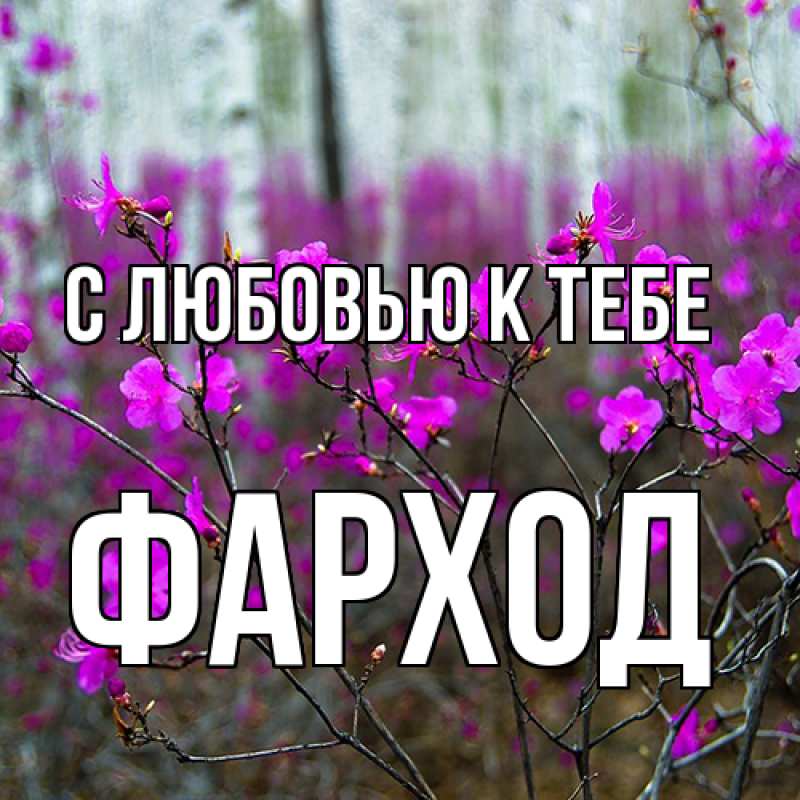 Картинка С любовью к тебе, Фарход