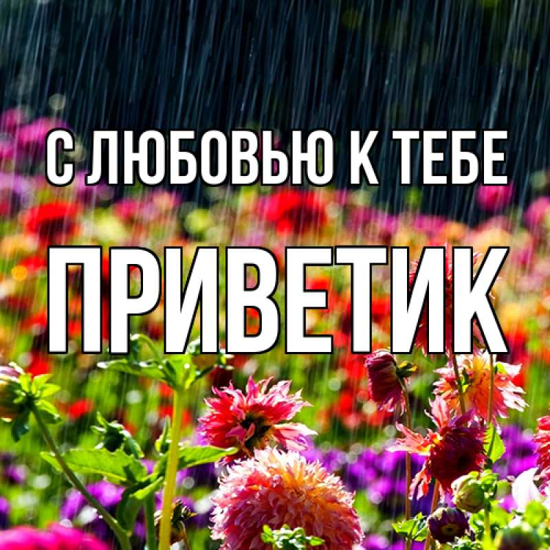 Картинка С любовью к тебе, приветик