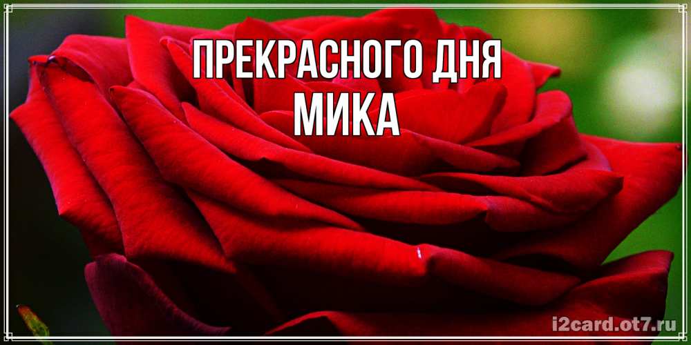 Открытка  с именем. мика, Прекрасного дня  