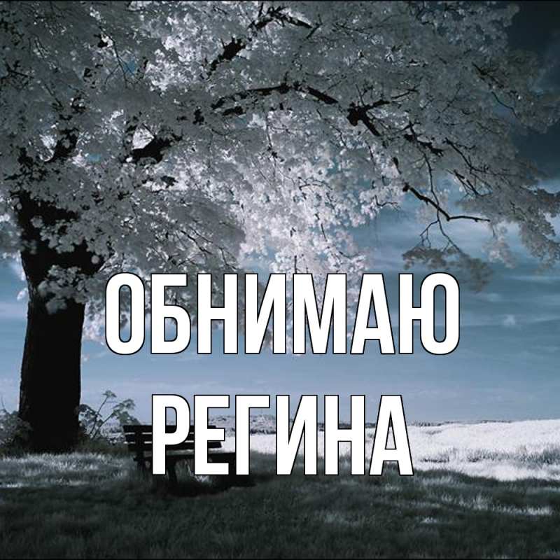 Картинка Обнимаю, Регина