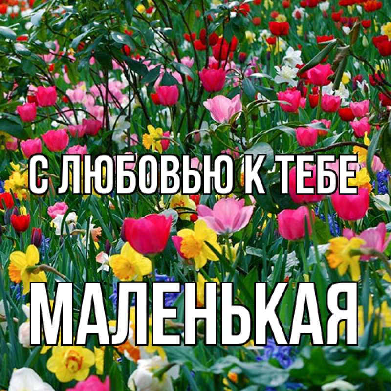 Картинка С любовью к тебе, Маленькая