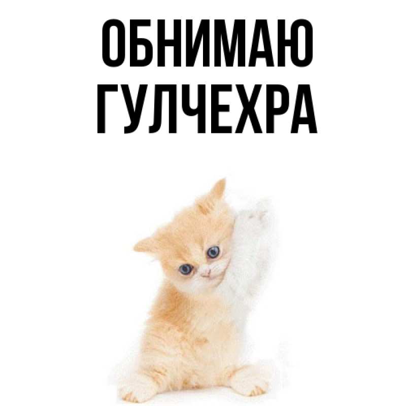 Картинка Обнимаю, Гулчехра