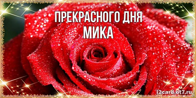 Картинка Прекрасного дня, мика