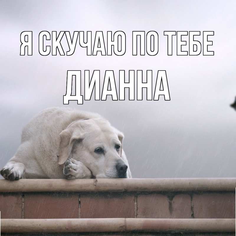 Картинка Я скучаю по тебе, Дианна