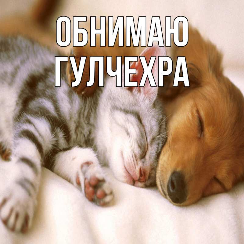 Картинка Обнимаю, Гулчехра