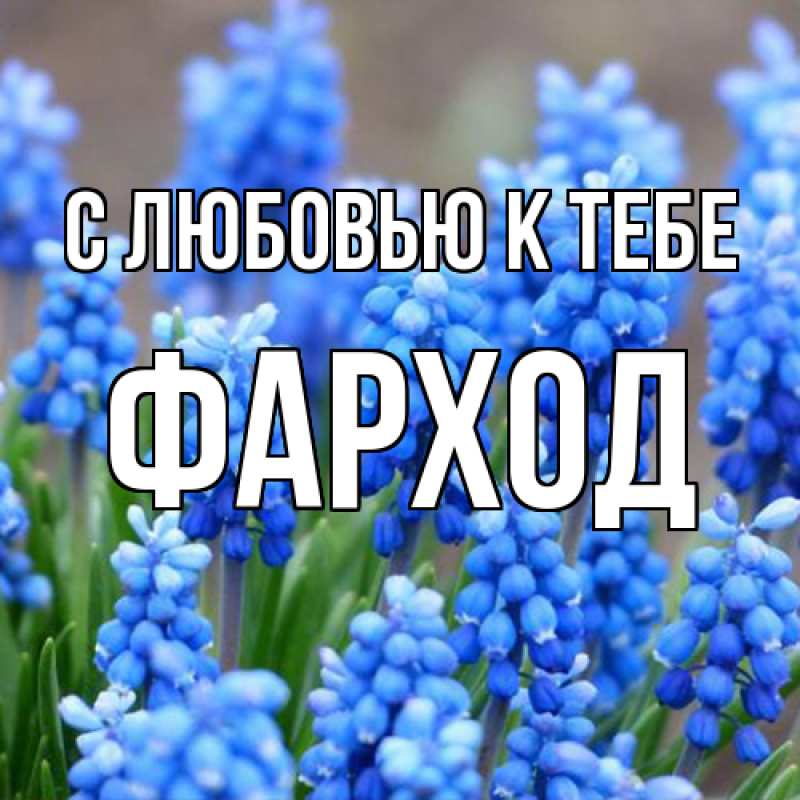 Картинка С любовью к тебе, Фарход