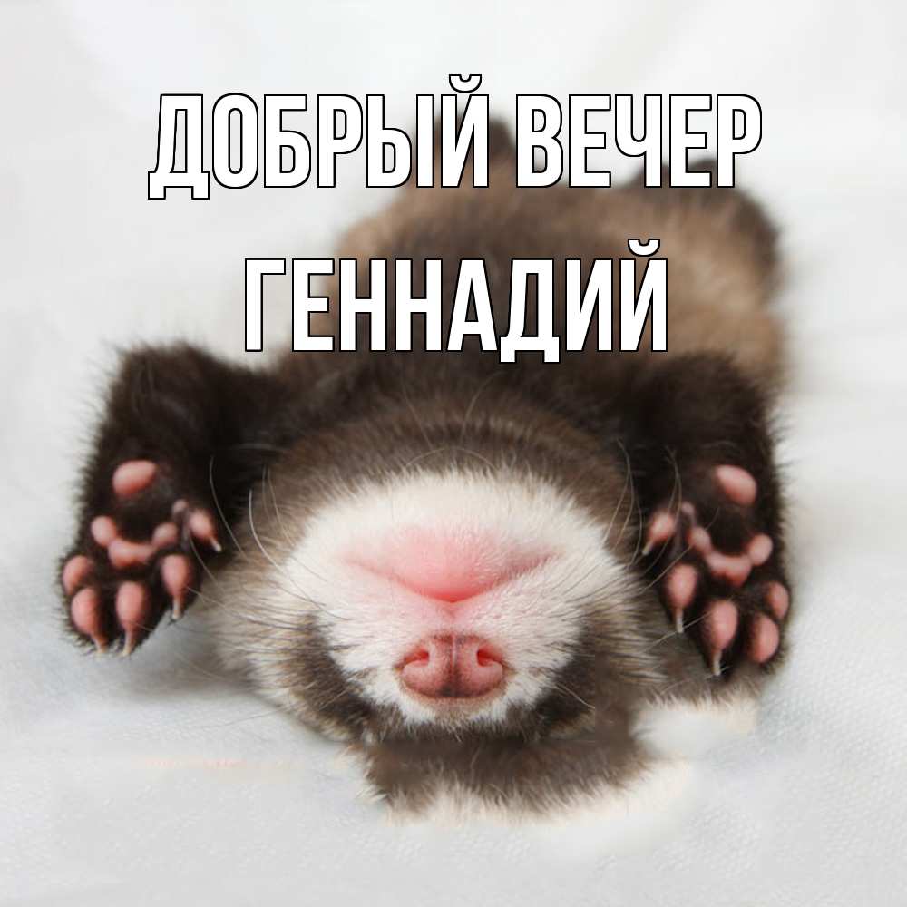 Открытка  с именем. Геннадий, Добрый вечер  