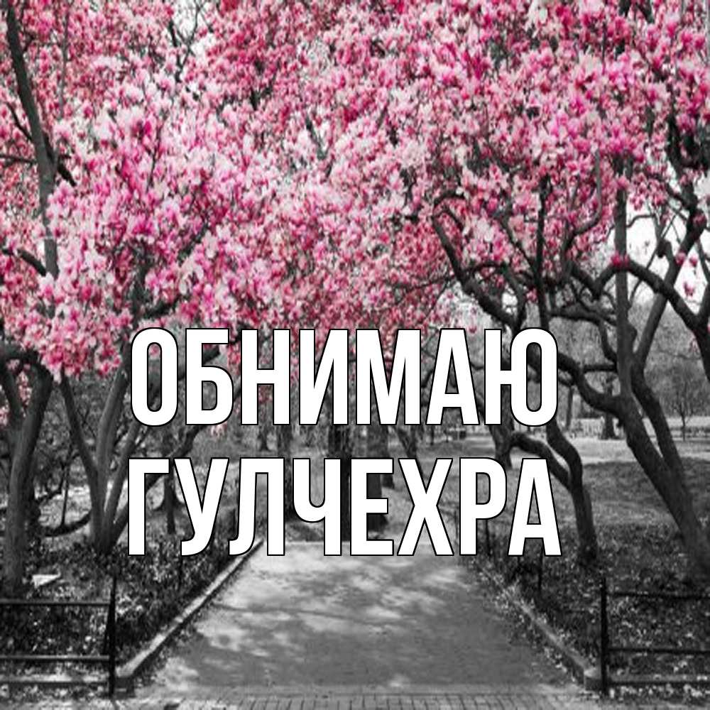 Открытка  с именем. Гулчехра, Обнимаю  