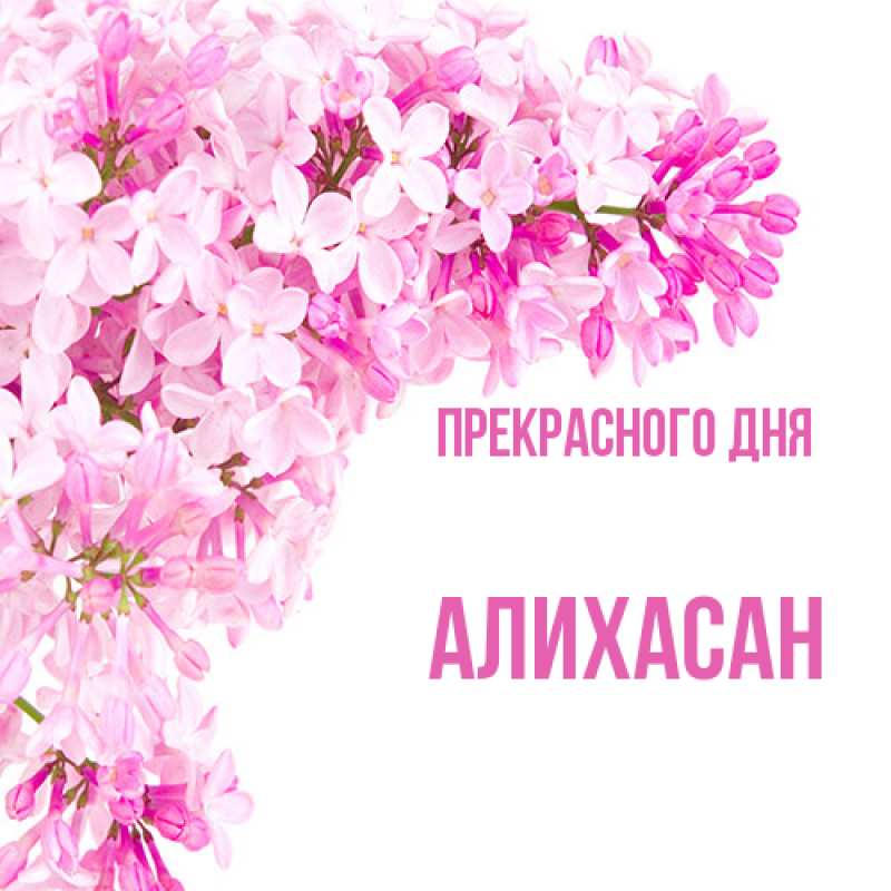 Картинка Прекрасного дня, АлиХасан