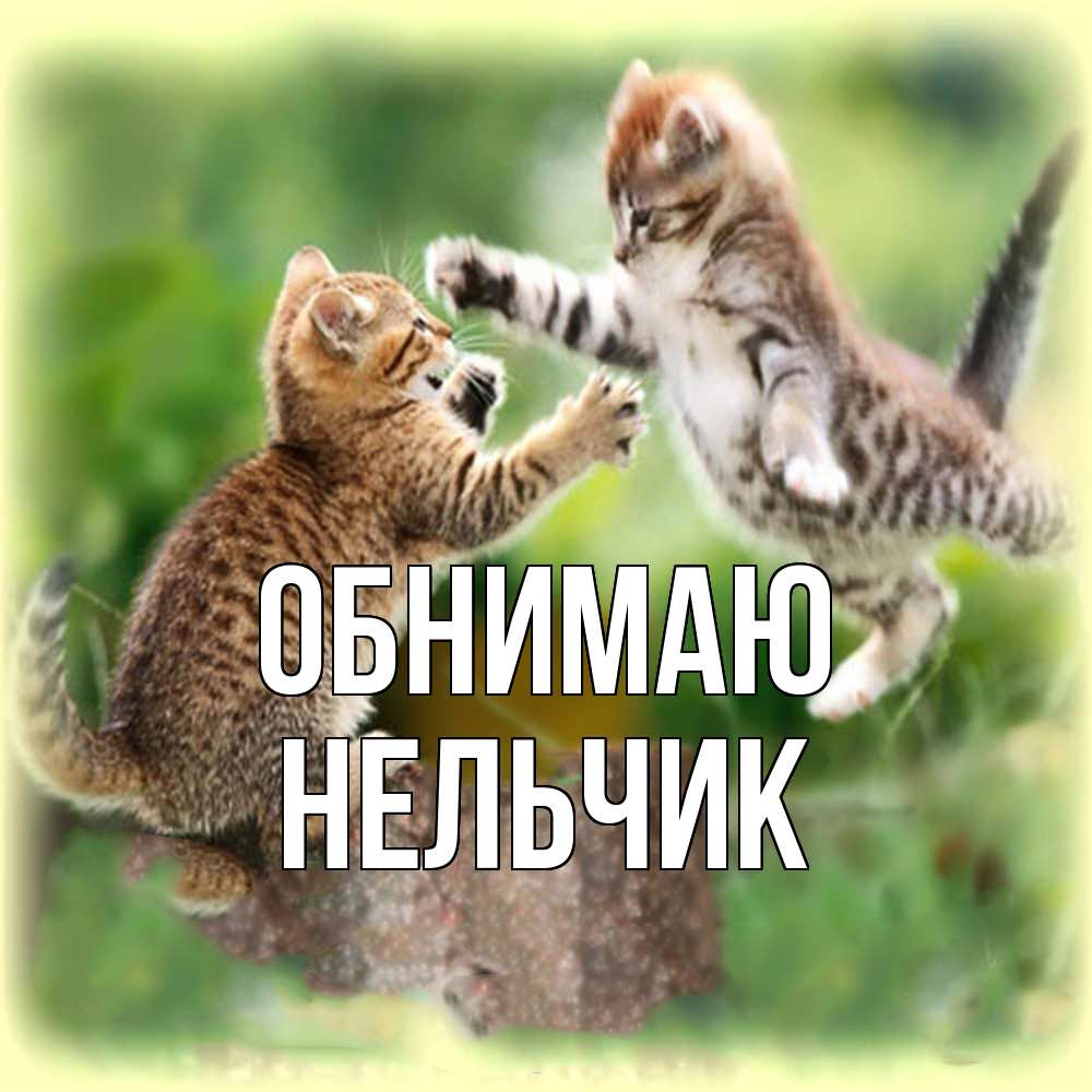 Открытка  с именем. Нельчик, Обнимаю  