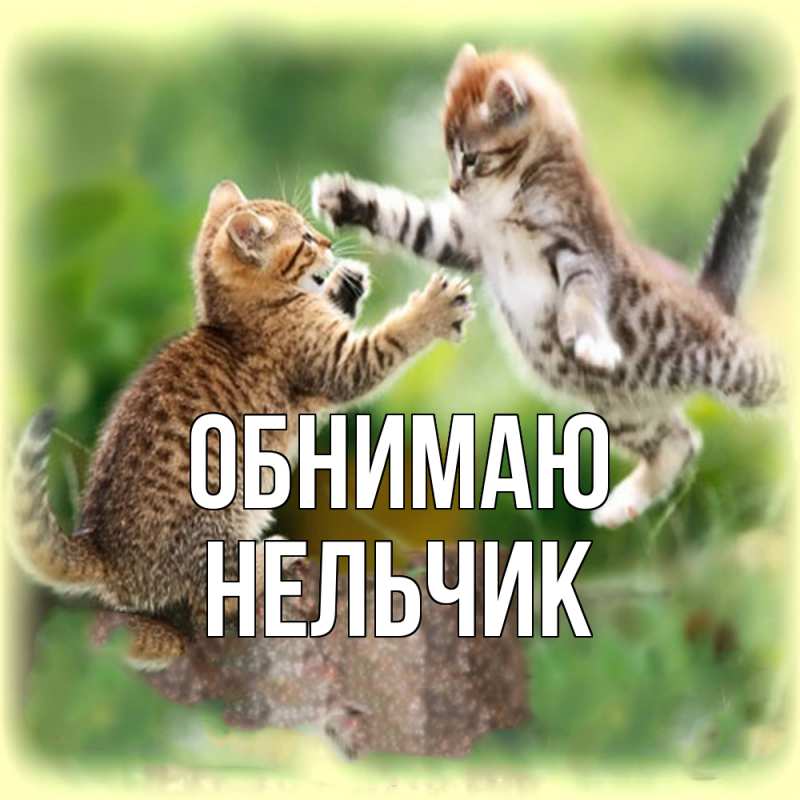 Картинка Обнимаю, Нельчик