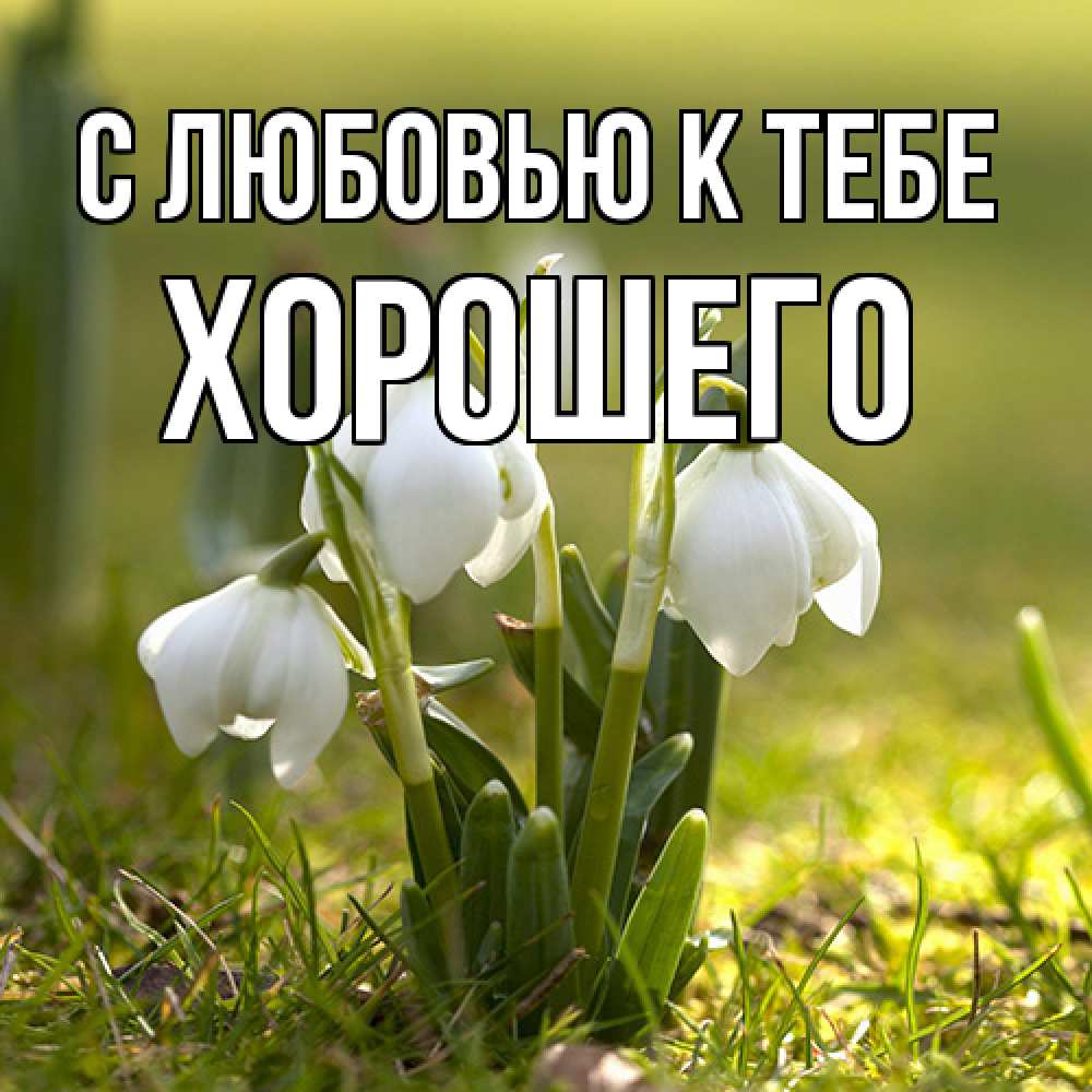 Открытка  с именем. Хорошего, С любовью к тебе  