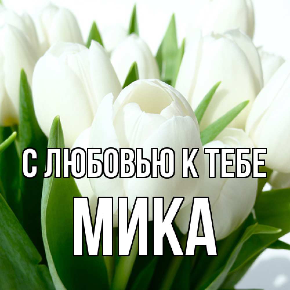 Открытка  с именем. мика, С любовью к тебе  