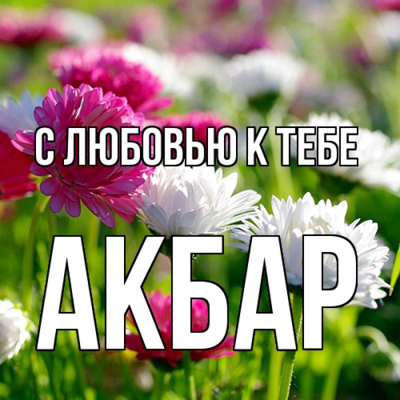 Открытка с именем, Акбар, С любовью к тебе