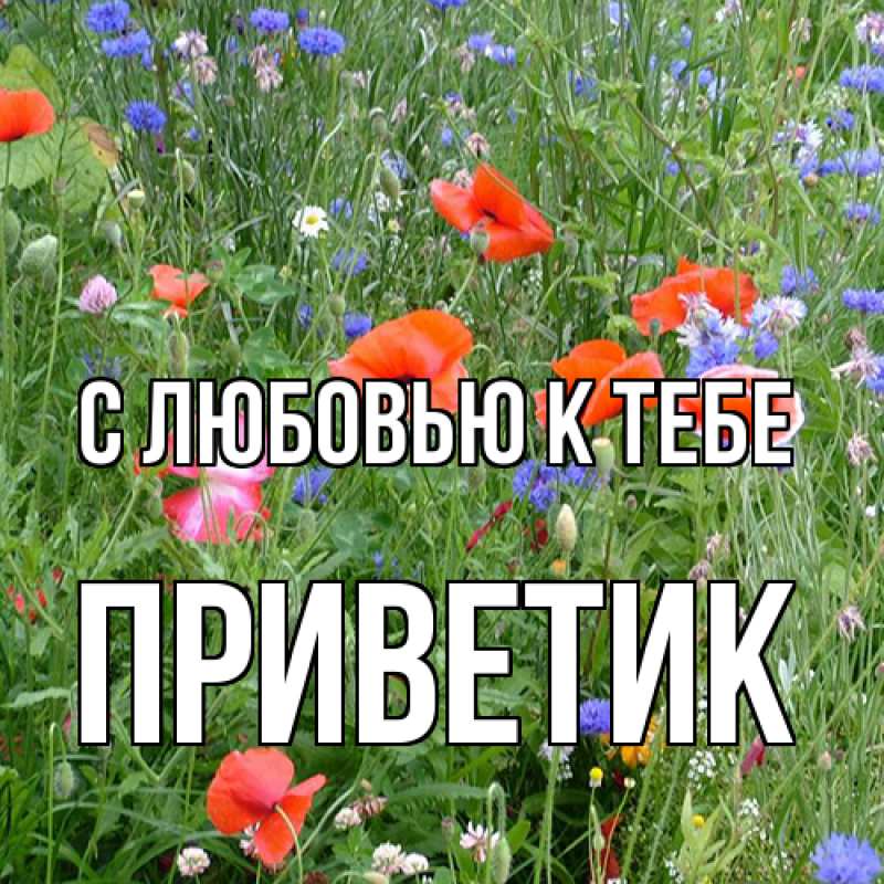 Картинка С любовью к тебе, приветик