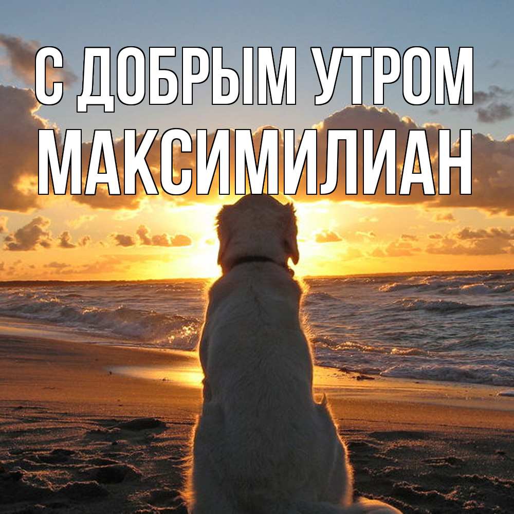 Открытка  с именем. Максимилиан, С добрым утром  