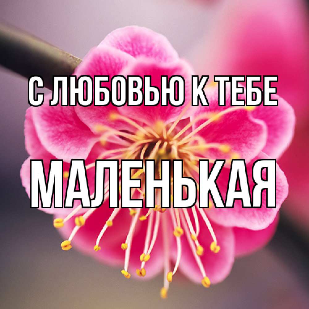 Открытка  с именем. Маленькая, С любовью к тебе  
