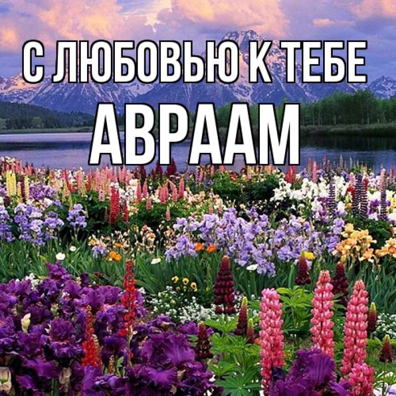 Картинка С любовью к тебе, Авраам