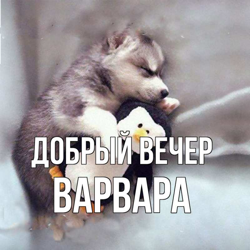 Открытка с именем, Варвара, Добрый вечер