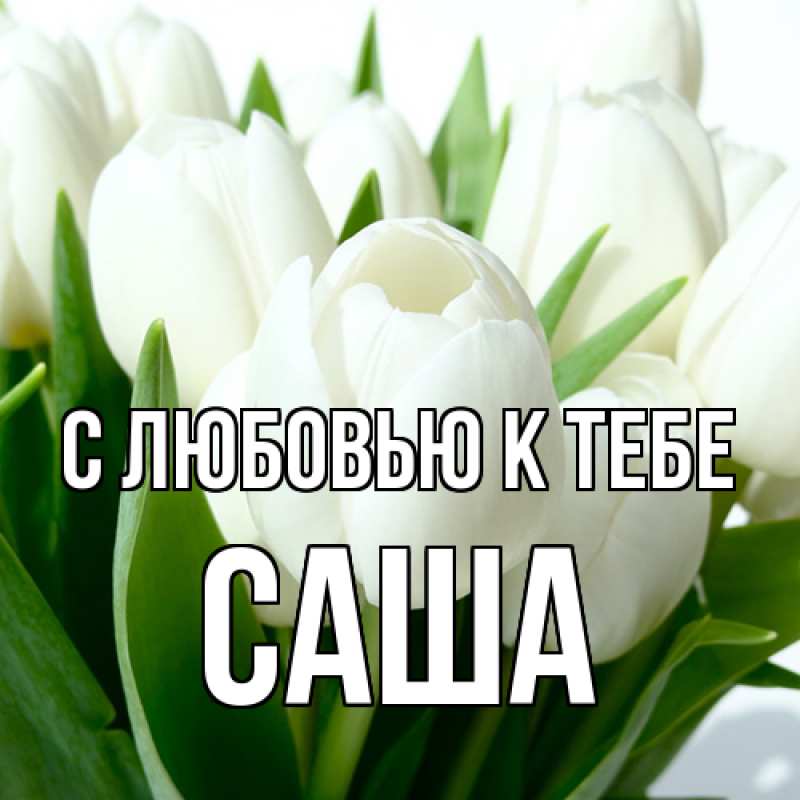 Картинка С любовью к тебе, Саша